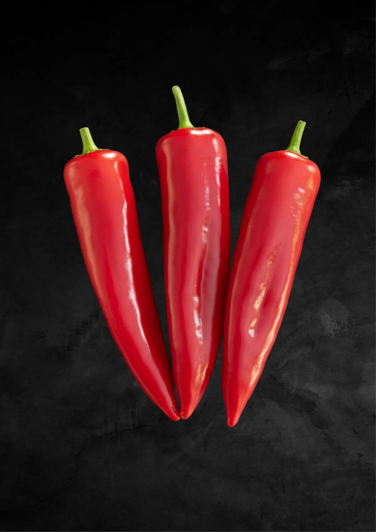 CANKAN F1 Kapya Biber