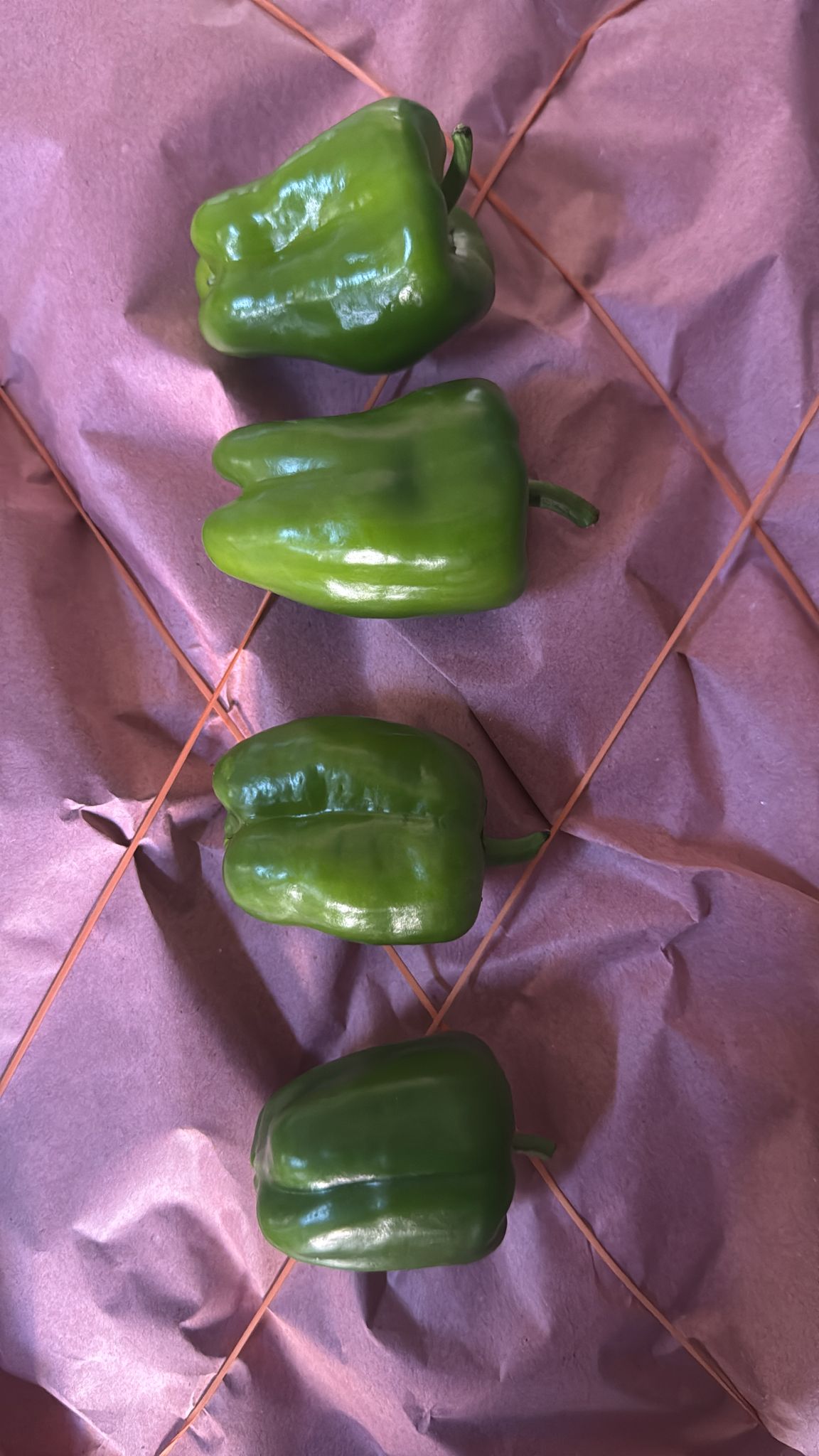 Kurumsal bilgi akışı ikinci görsel